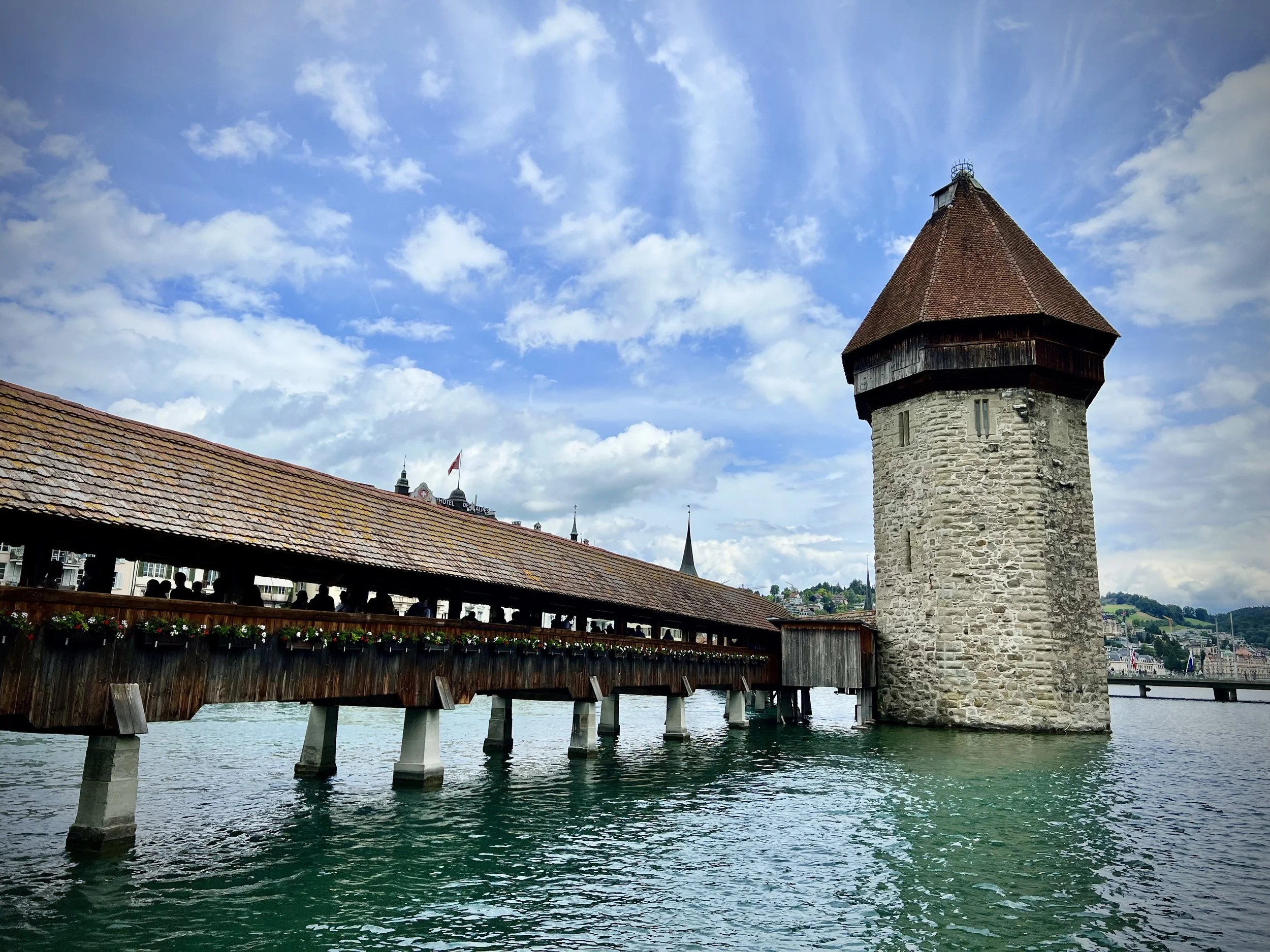 IMG_8950.jpg