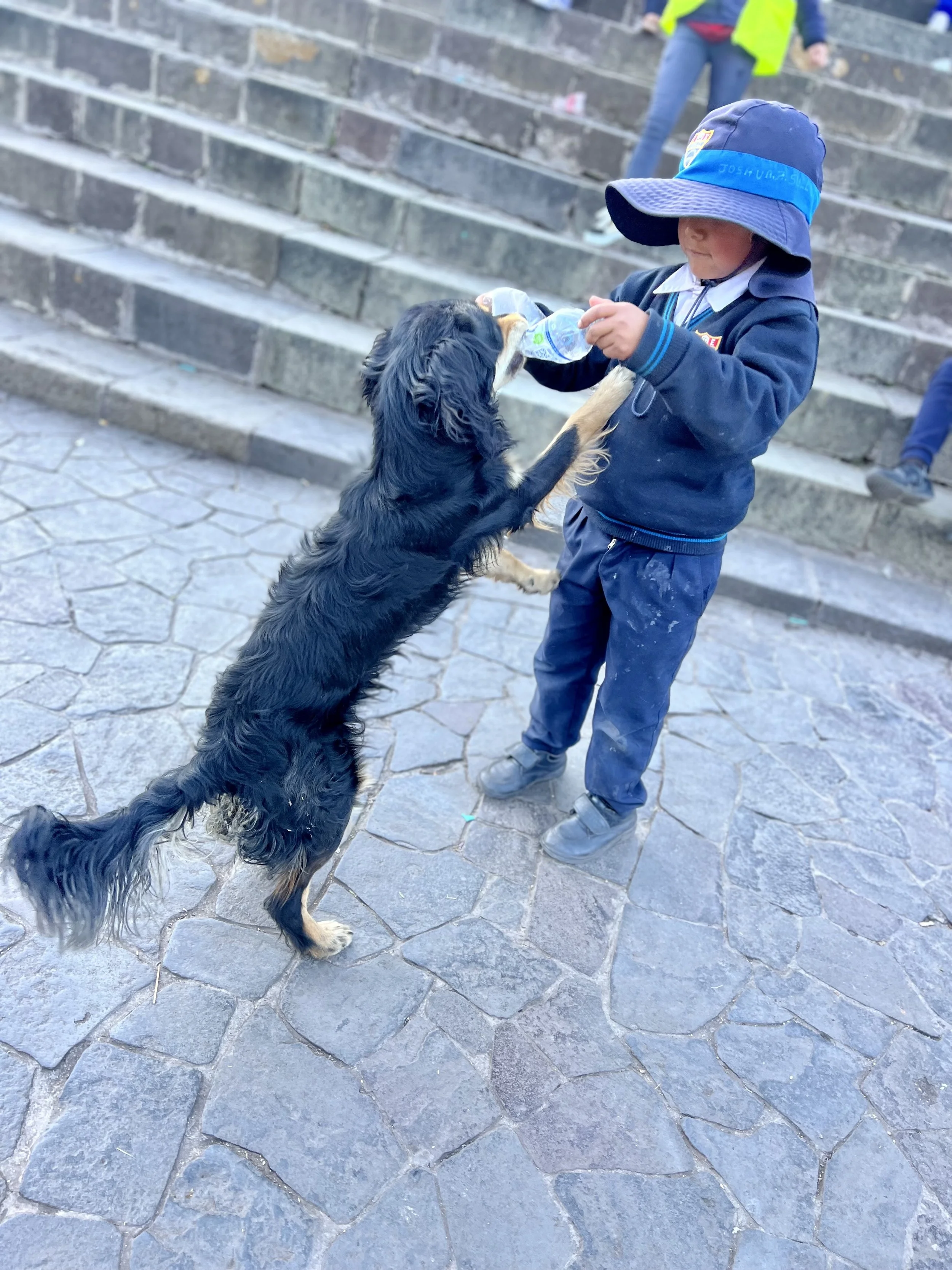 IMG_6684.jpg