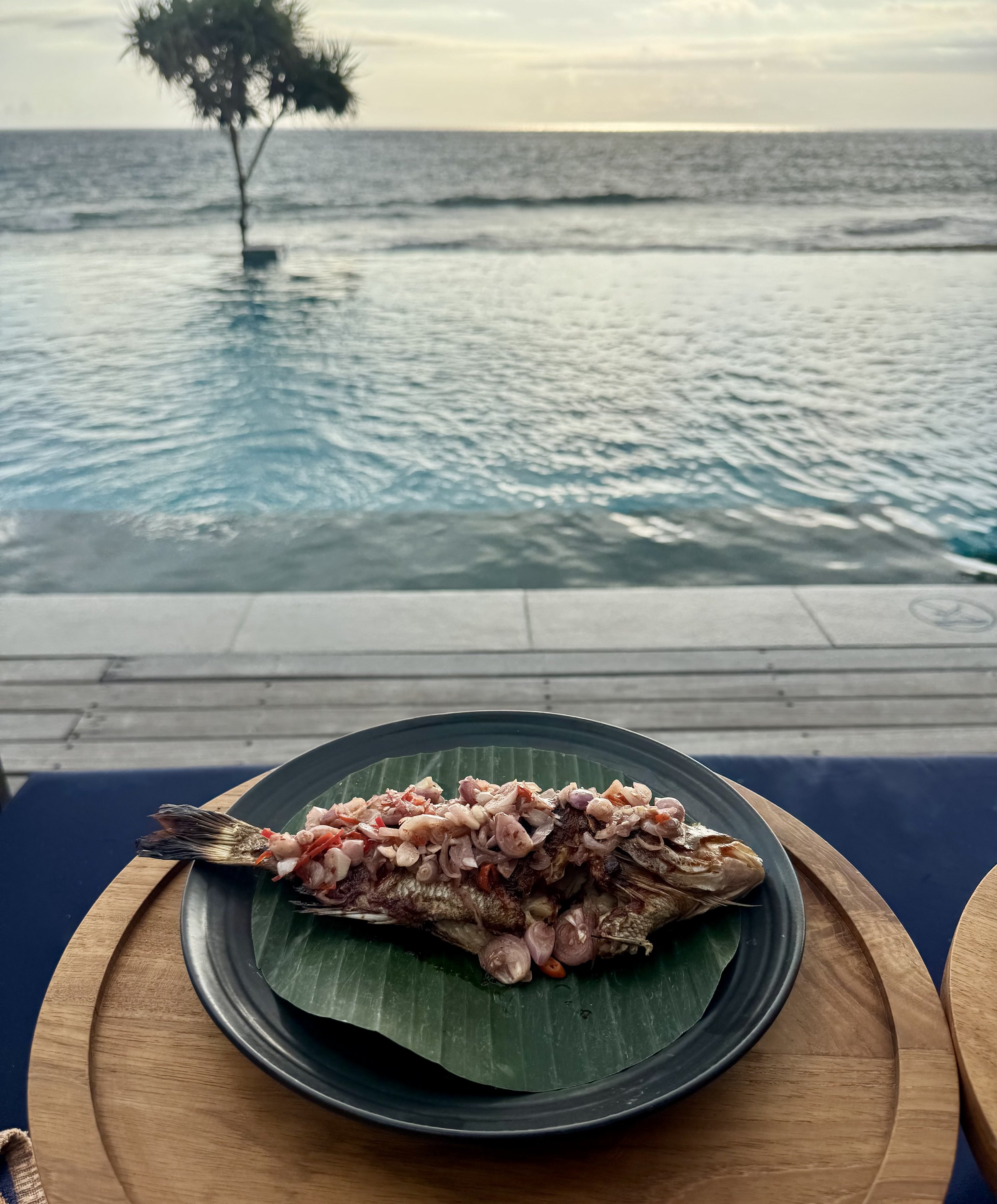 FullSizeRender 3.jpeg