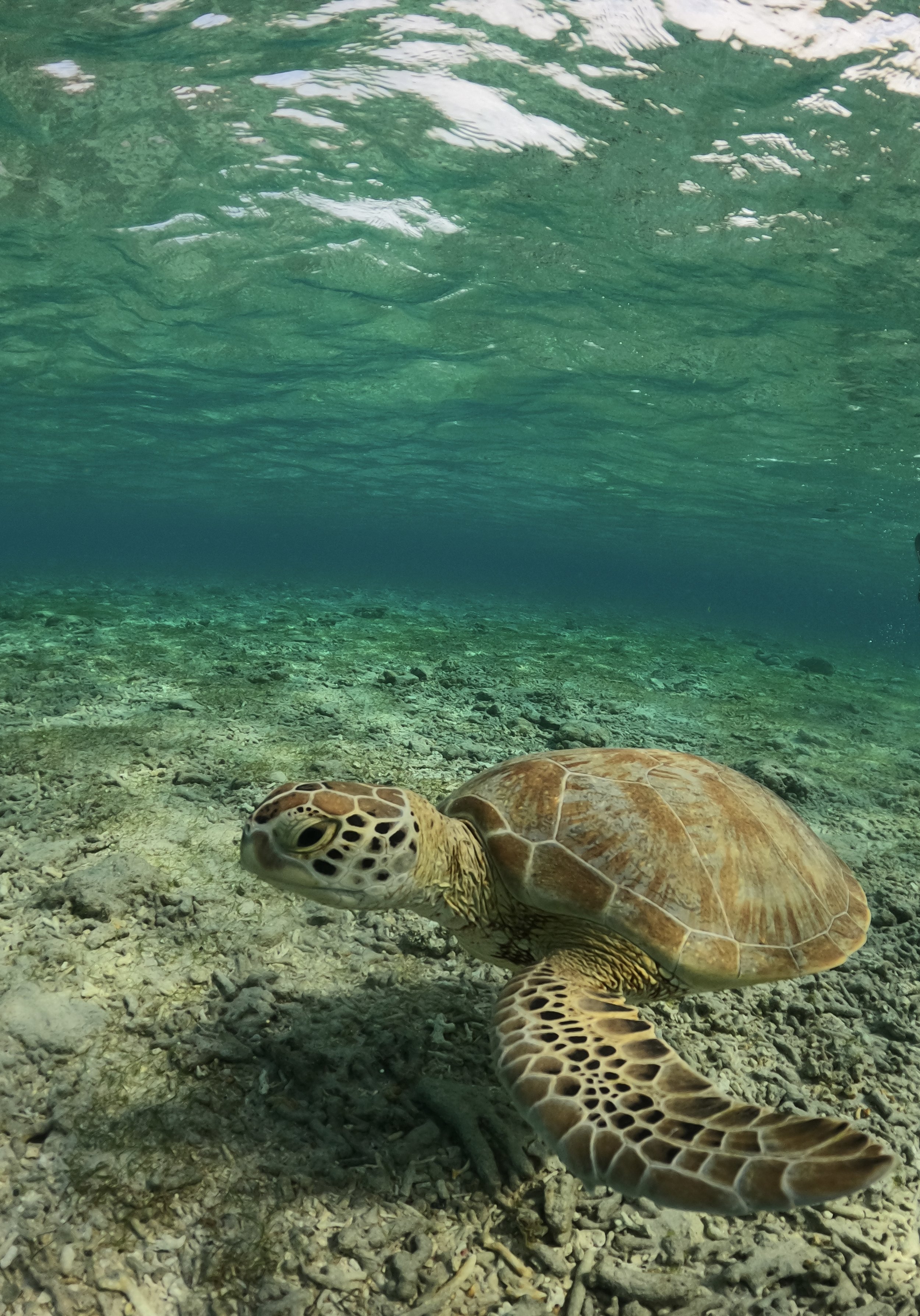 GOPR7979.jpg