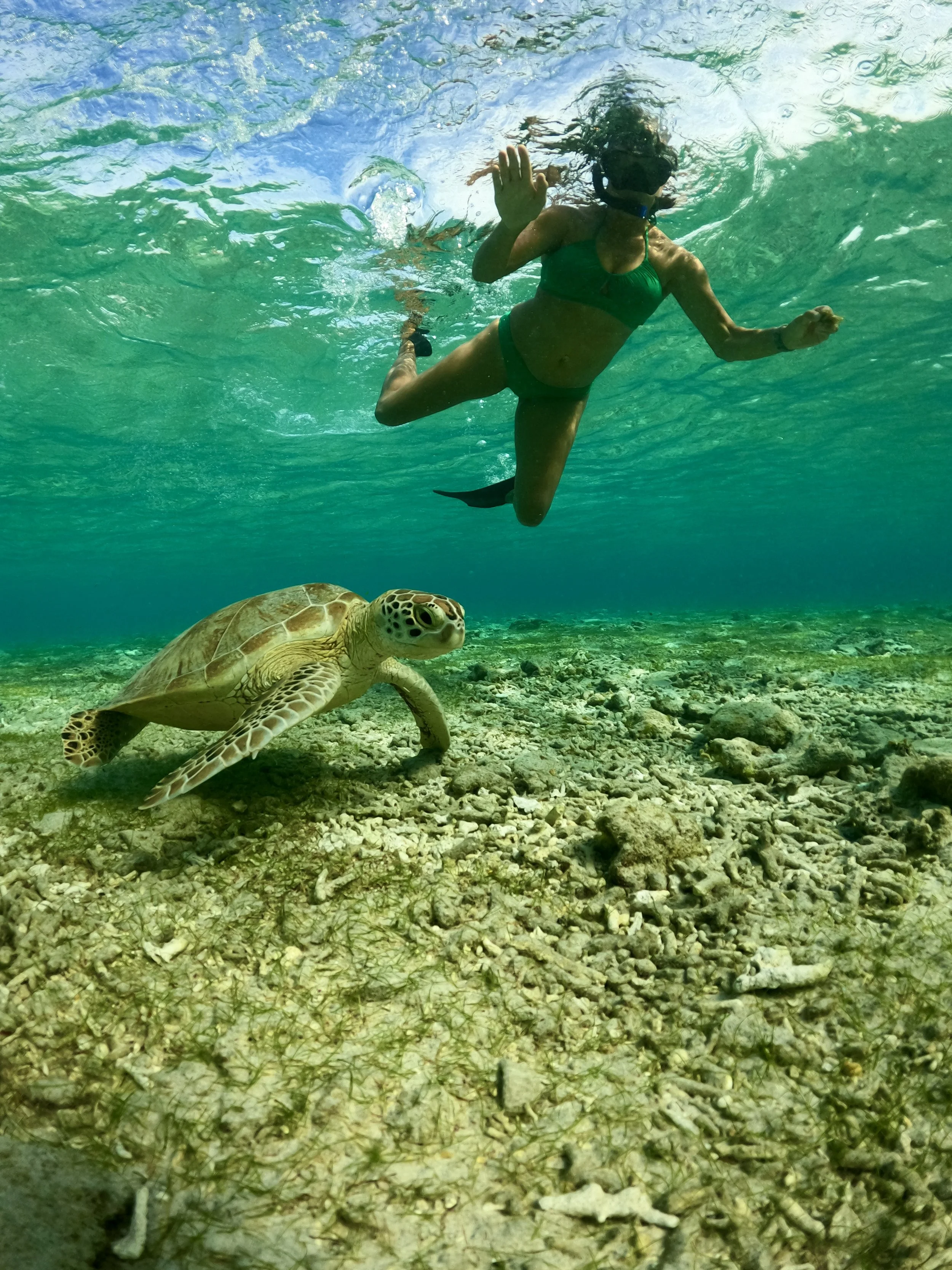 GOPR7969.jpg