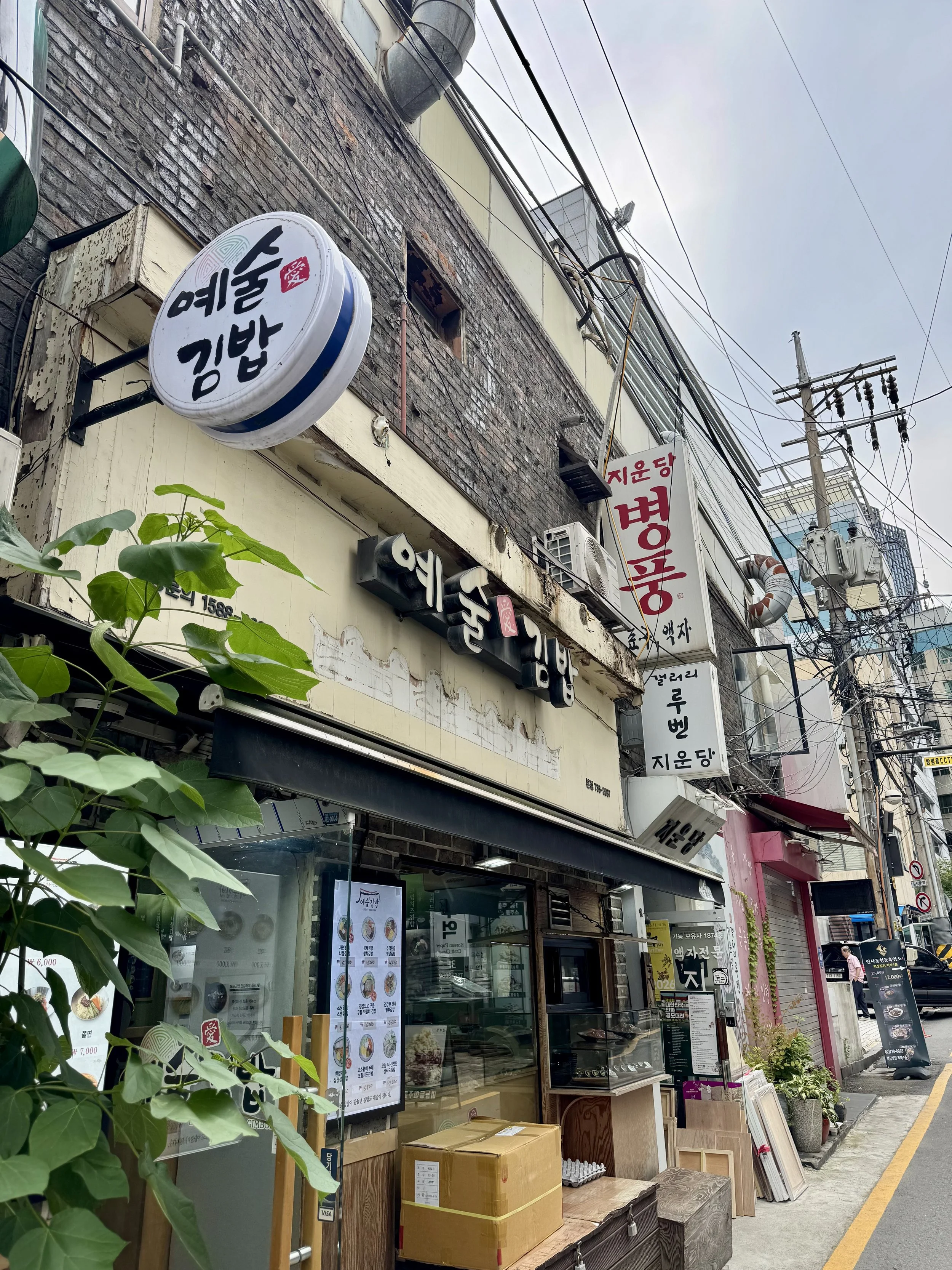 IMG_8259.jpeg