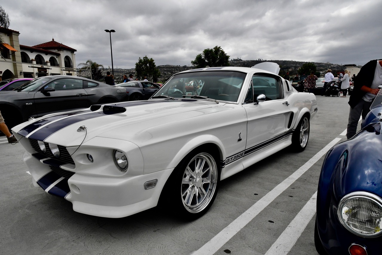 DSC_9522.jpeg