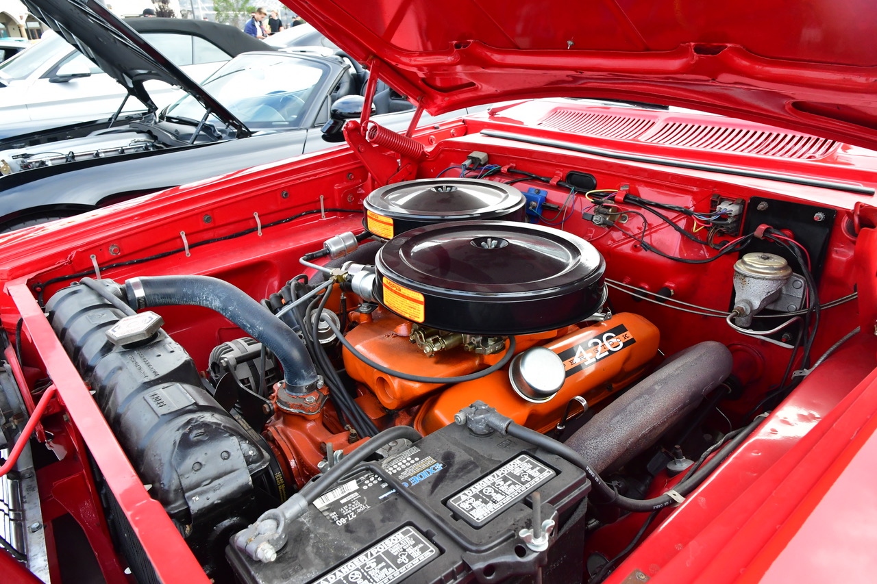 DSC_4729.jpeg