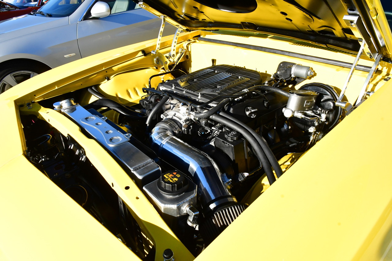 DSC_3296.jpeg
