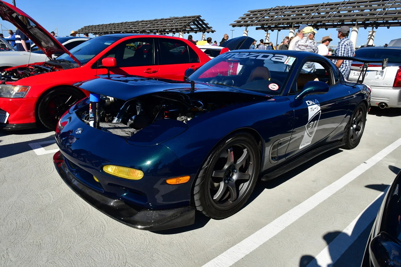DSC_7482.jpeg