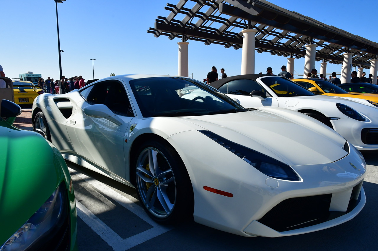 DSC_7361.jpeg