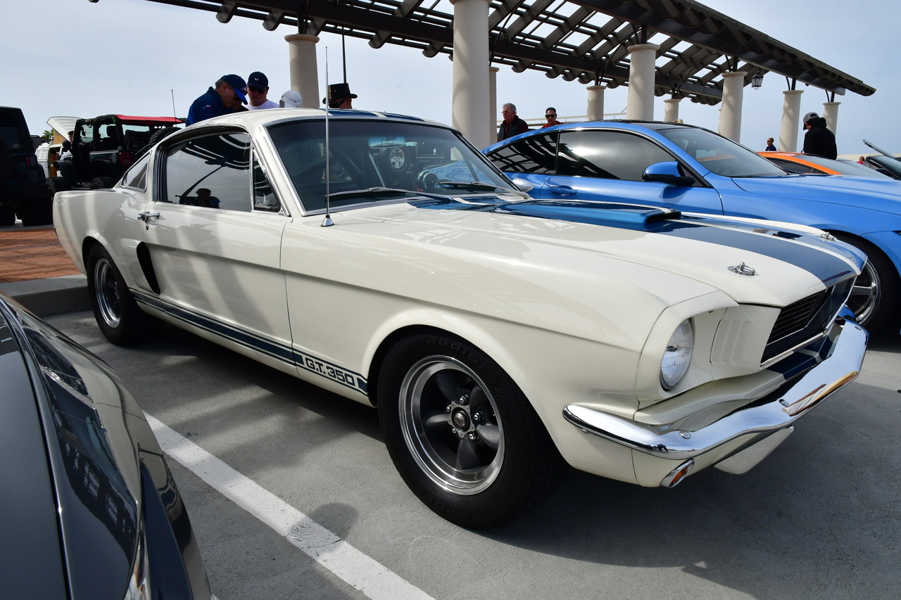 DSC_1666.jpeg