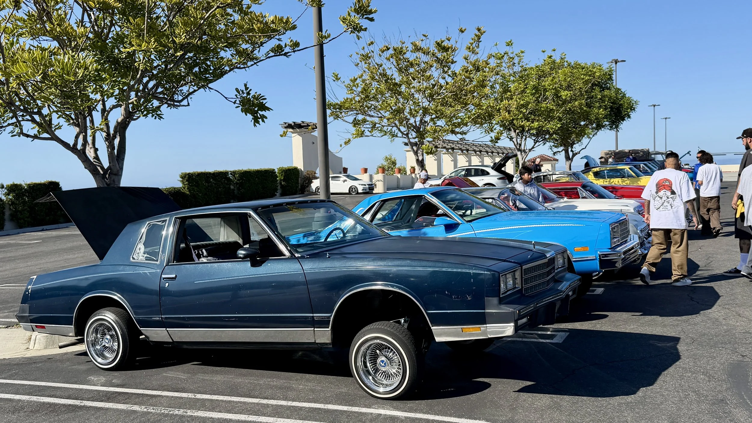 IMG_9812.jpg