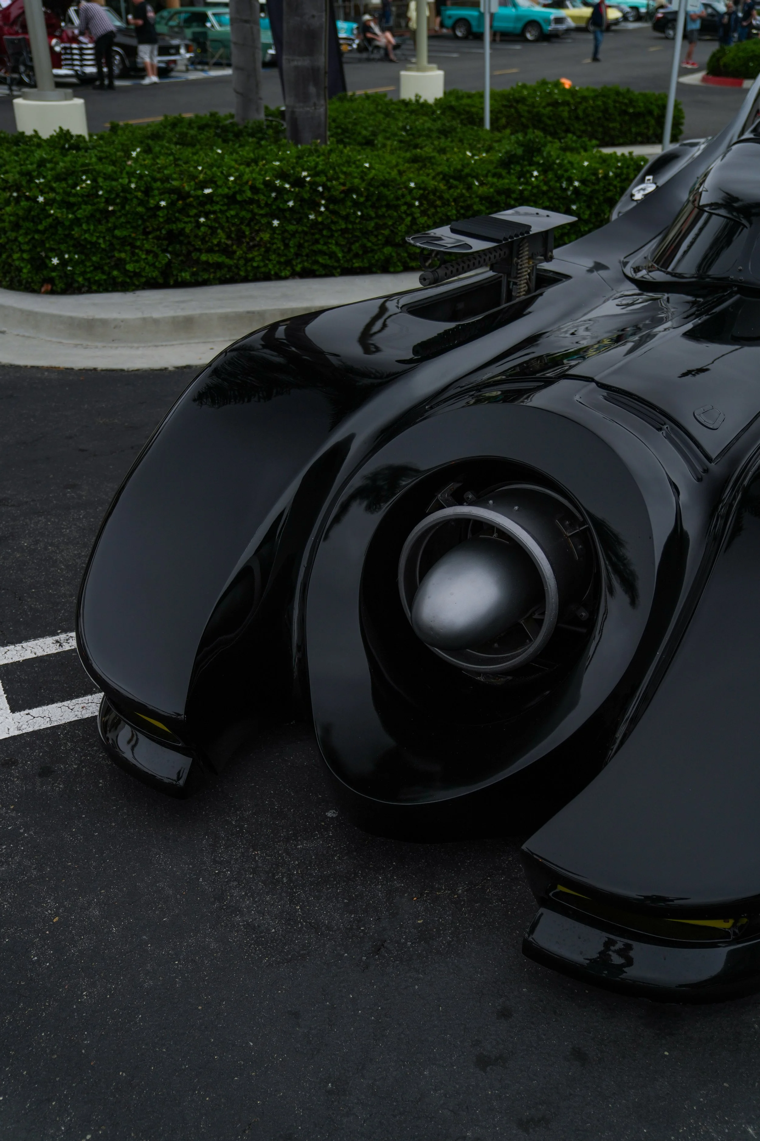 DSC07813.jpg