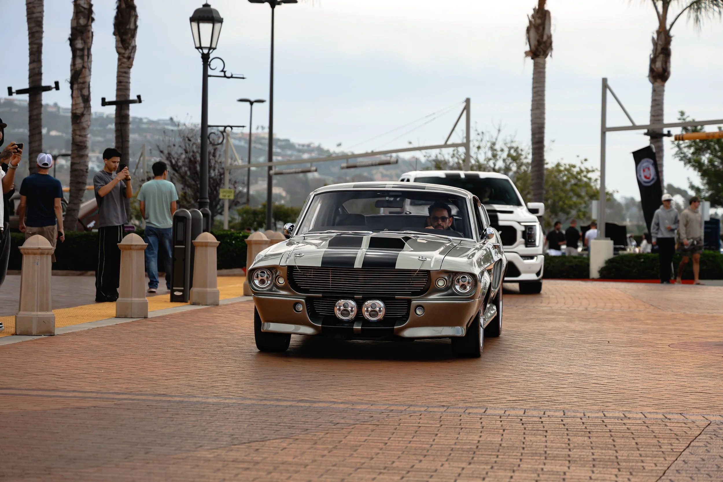 _MGL8613_Original.jpg