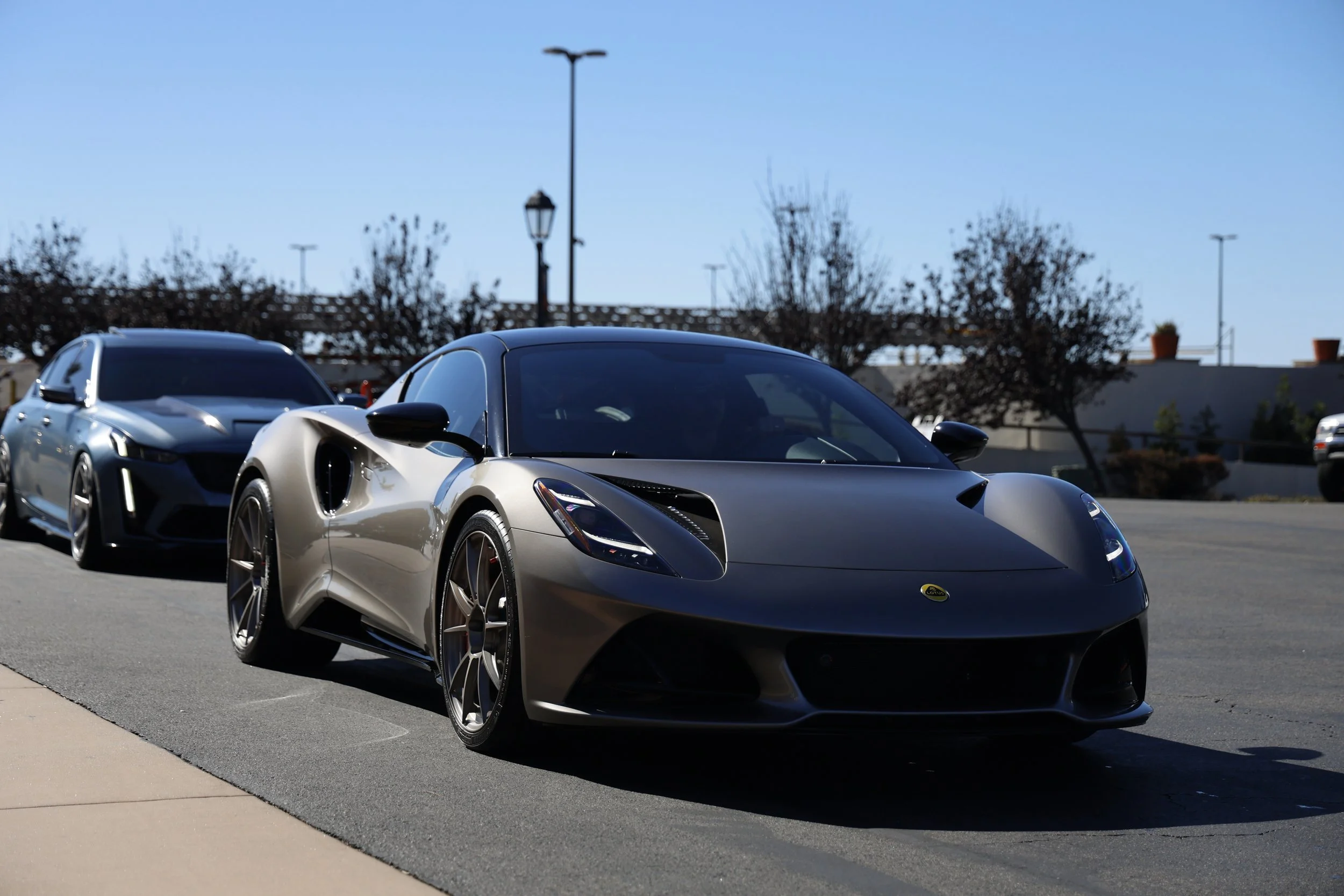 _MGL8057.JPG