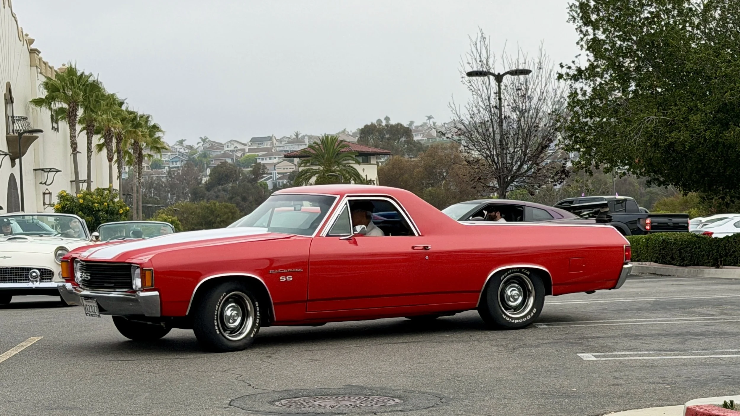 IMG_4045.jpg