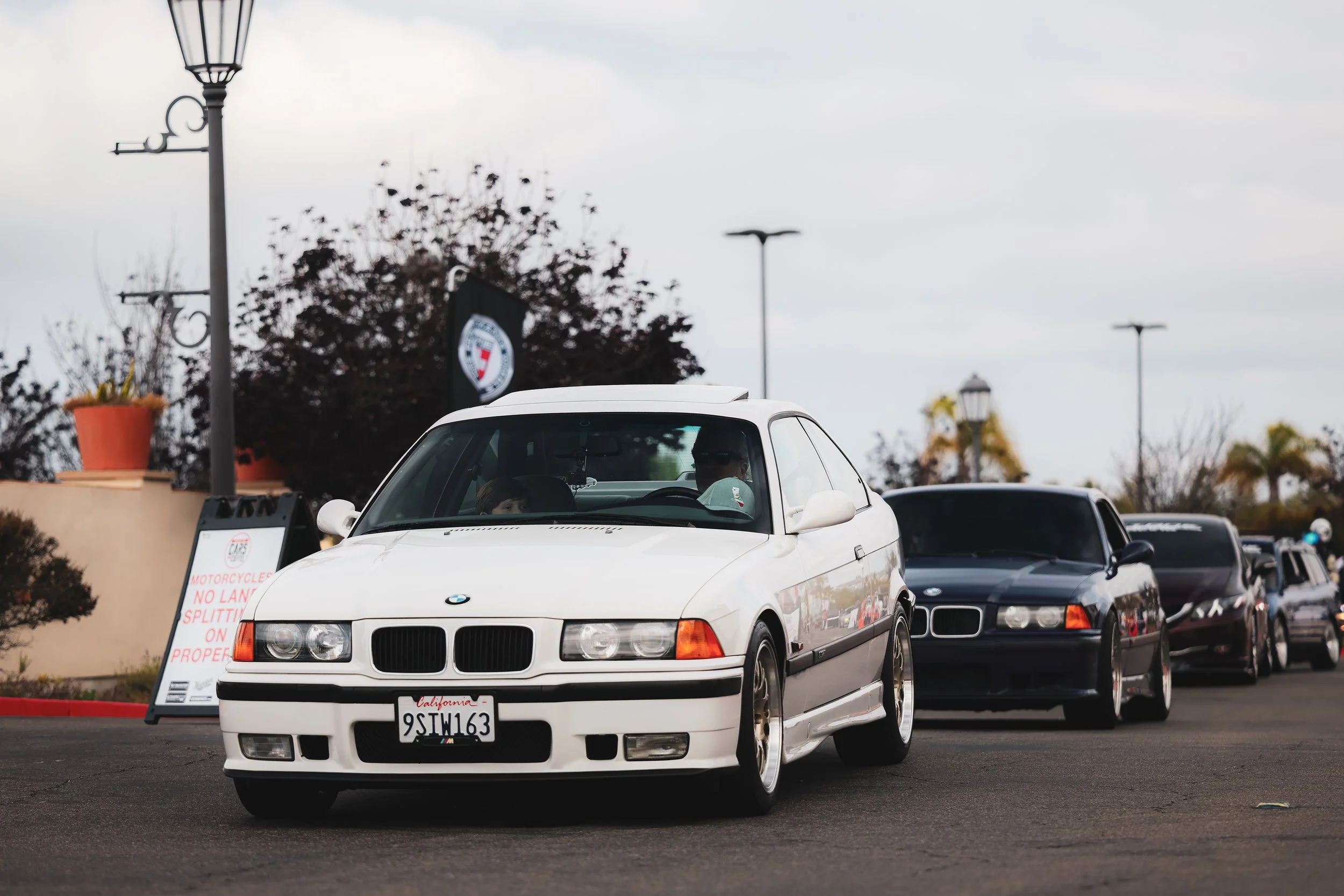 4V9A8358.JPG