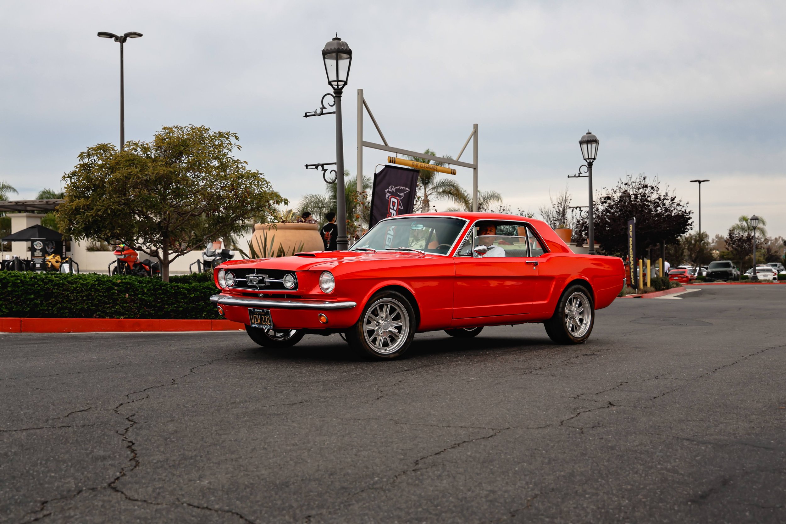 _MGL8341_Original-2.jpg