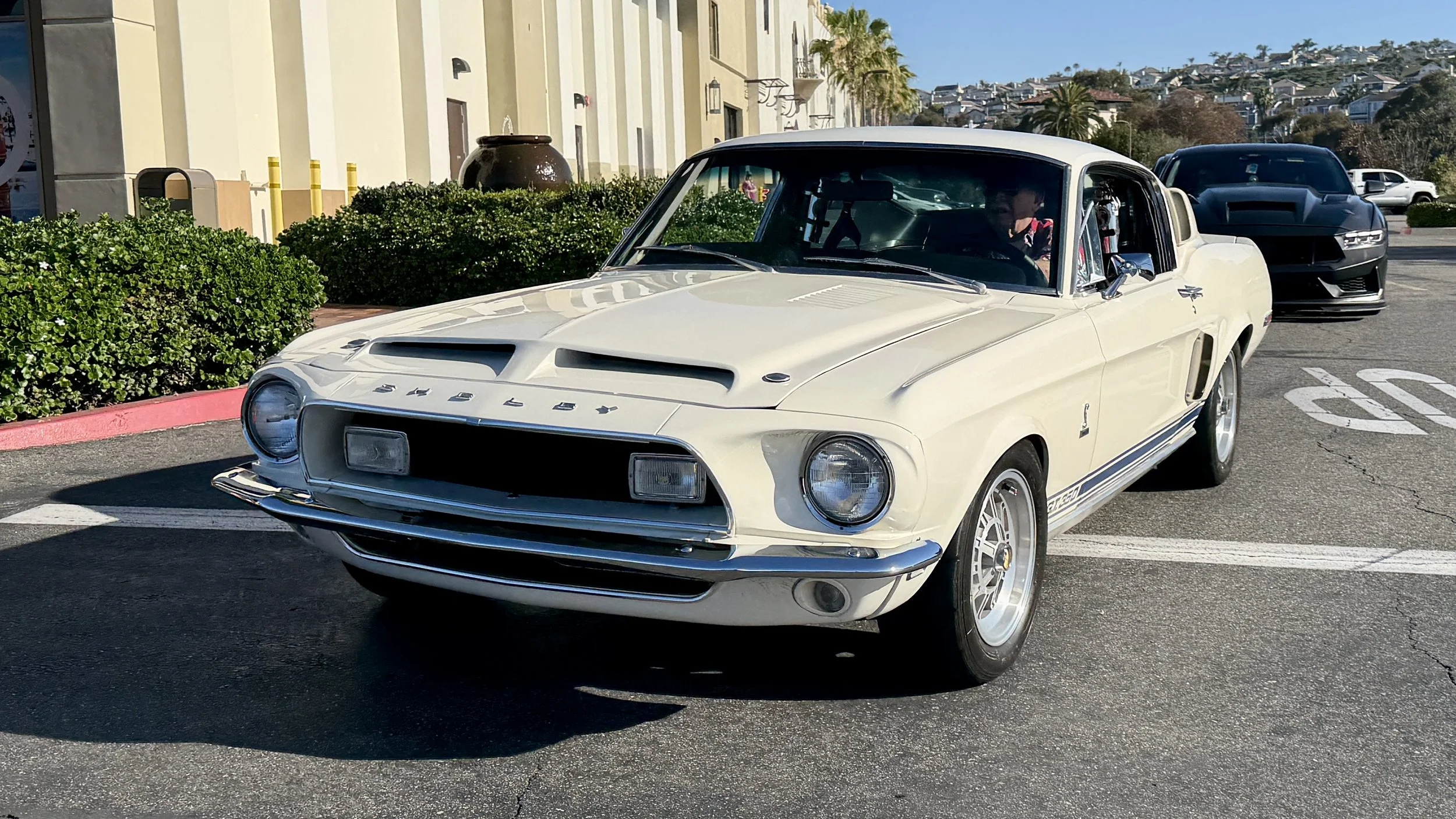 IMG_6252.jpg