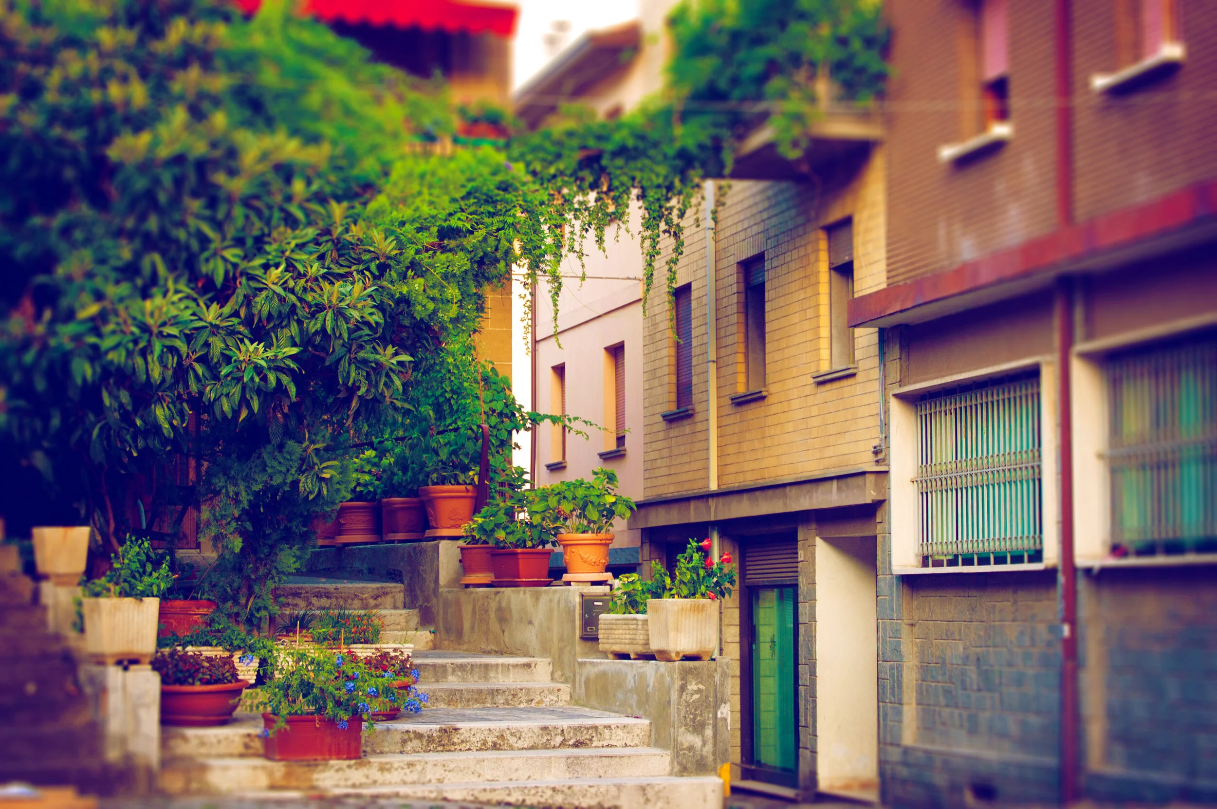 CLA Italy 2019: Welcome to Italy!