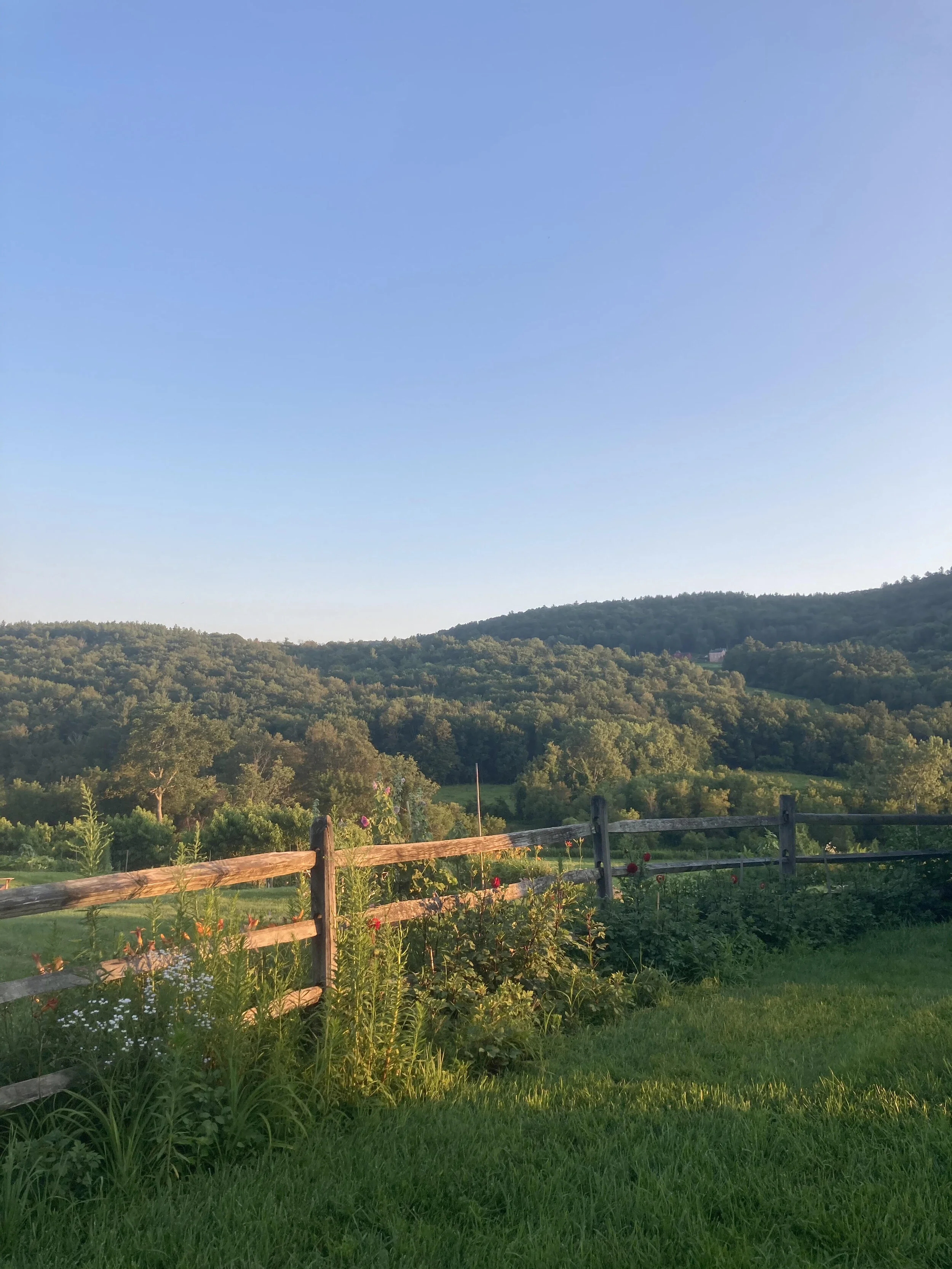 CLA Perspectives: Lana Norris