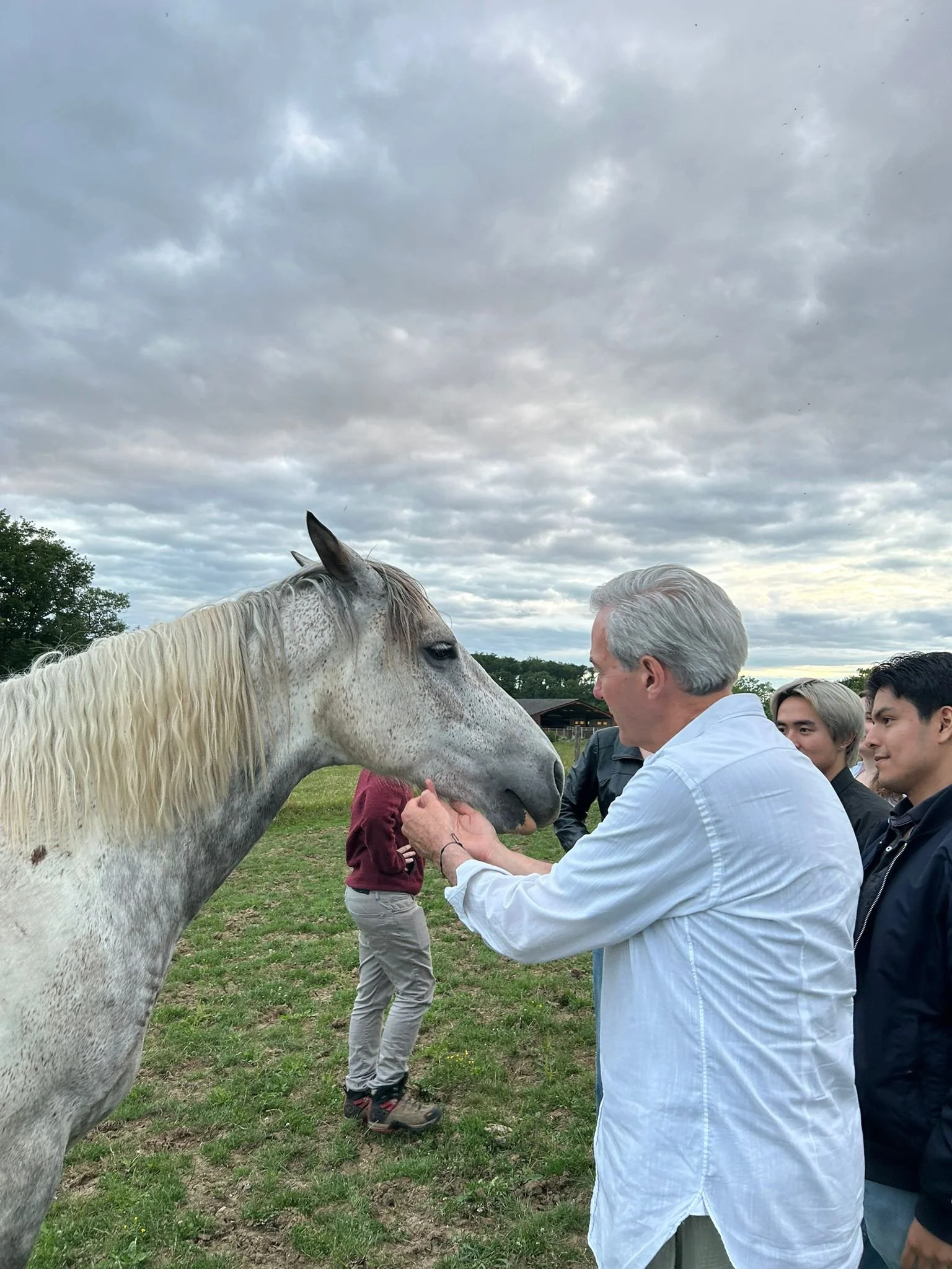 Copy of AED407F9-7BED-4E14-880F-9BA27B867BFA.jpeg