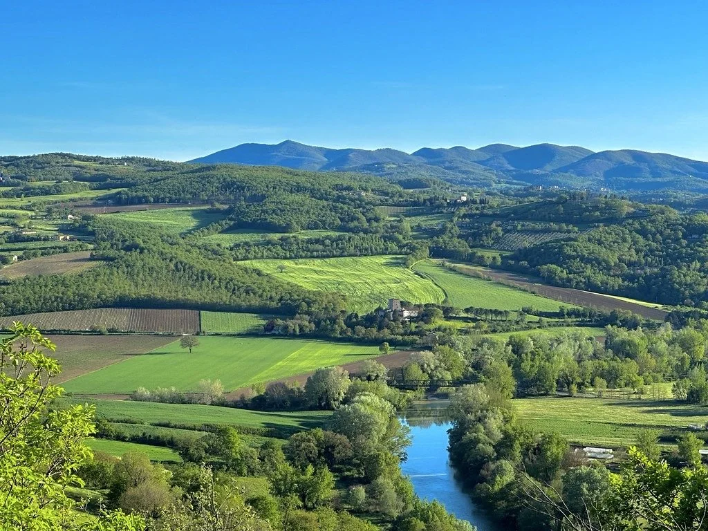 52928491491_646cf5d4ae_b Large.jpeg