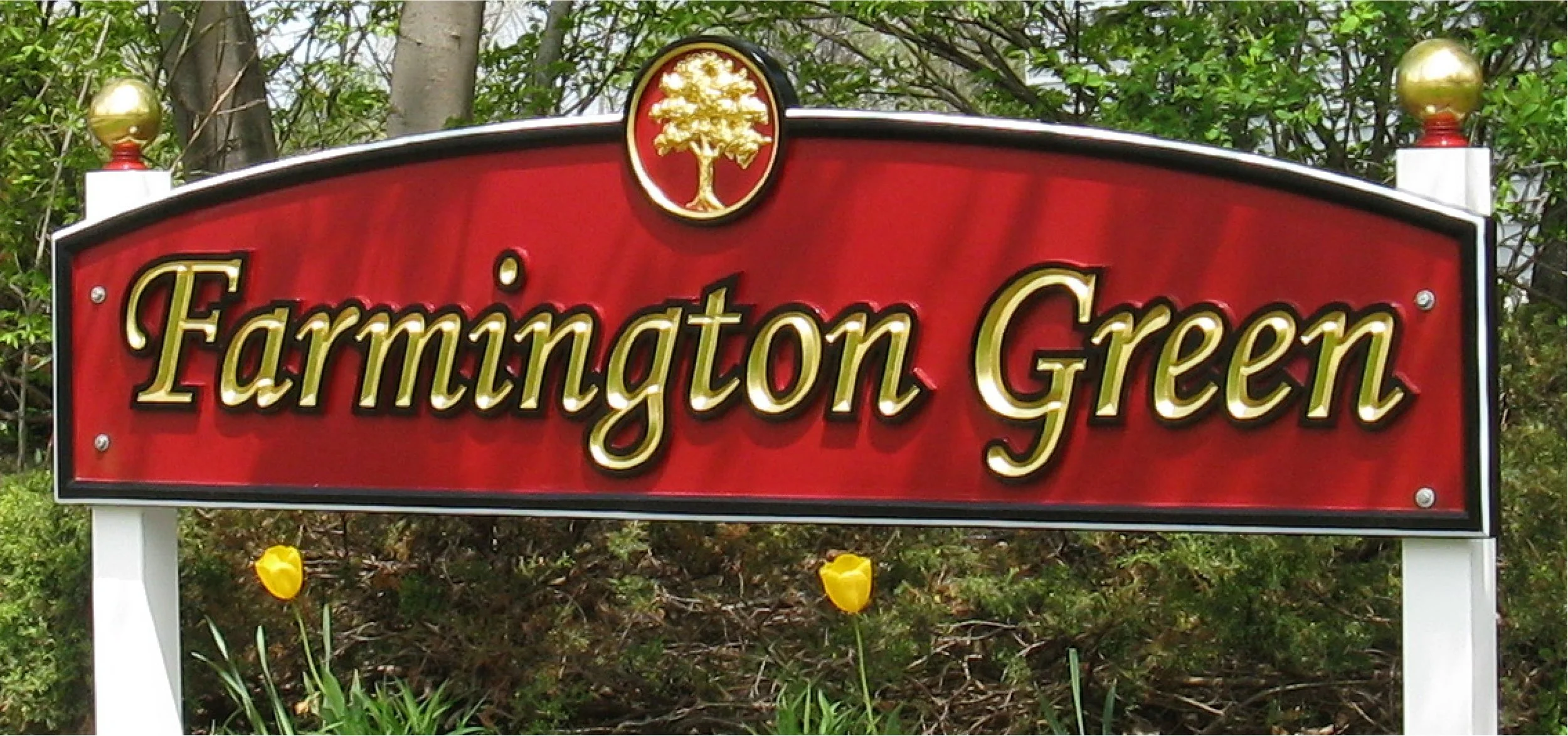 Farmington Green.jpg