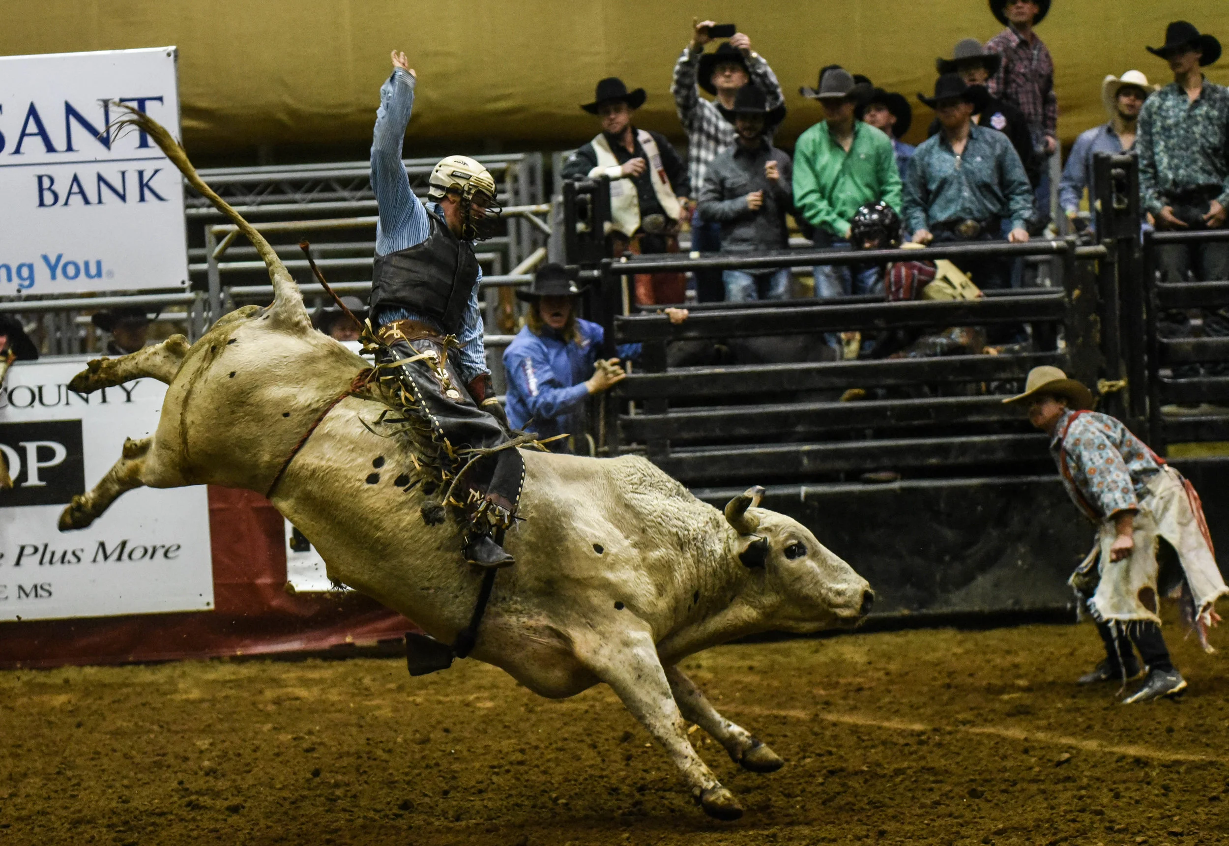 rodeo-4.jpg