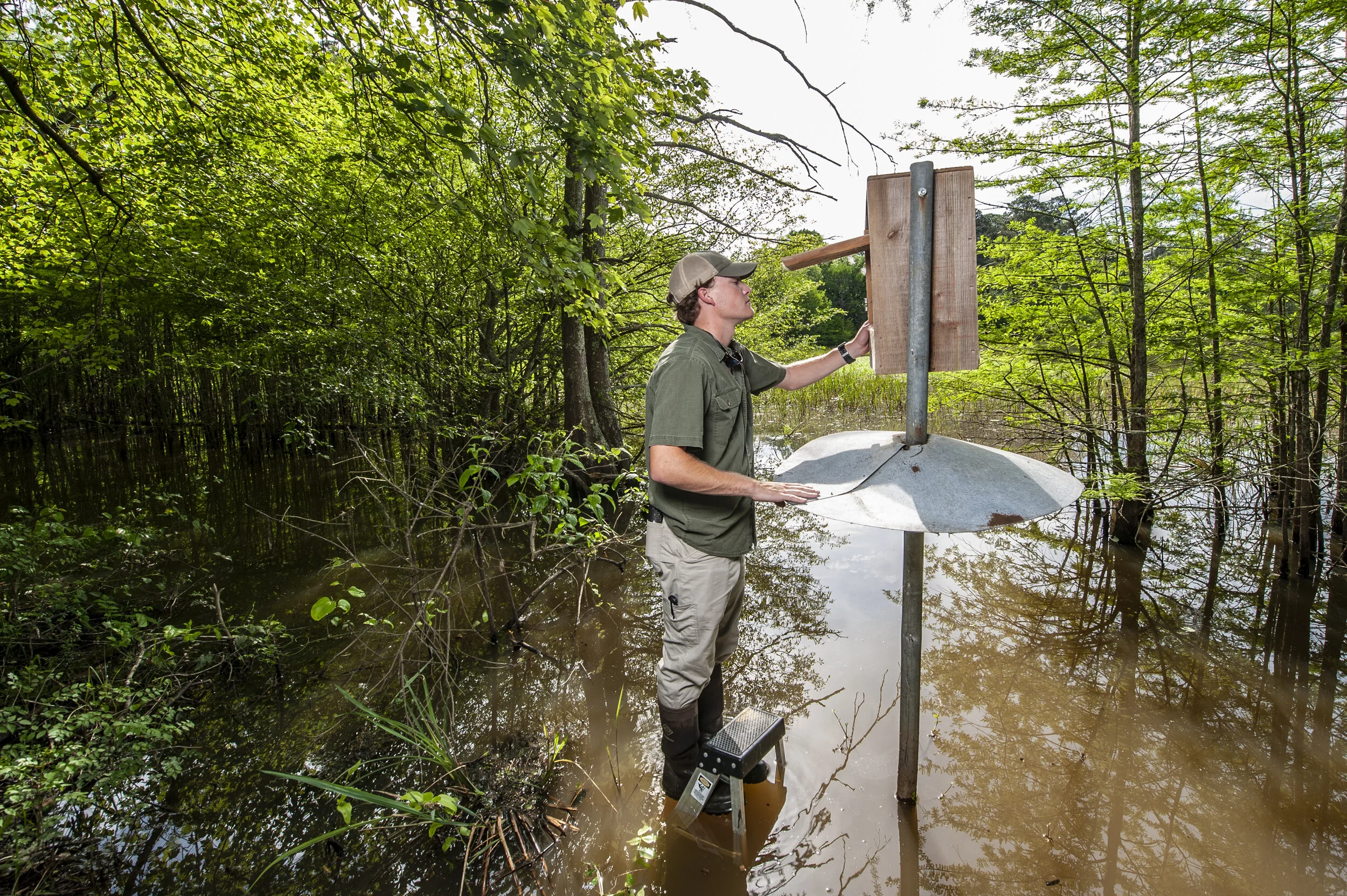 Matthew_Dziamniski_Refuge_20190430__3LK9367.jpg