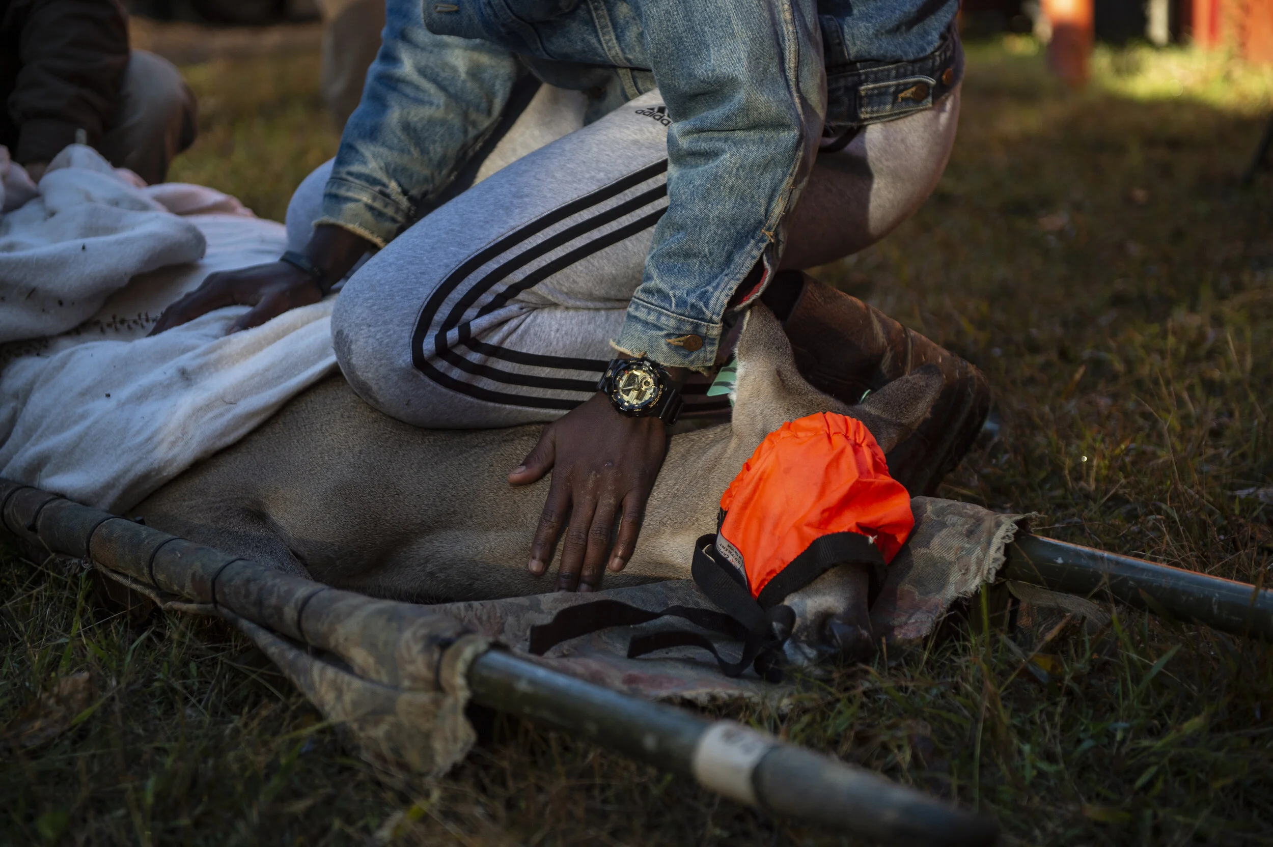 Deer_Work_Up_Alumnus_20191101_4LK4555.jpg
