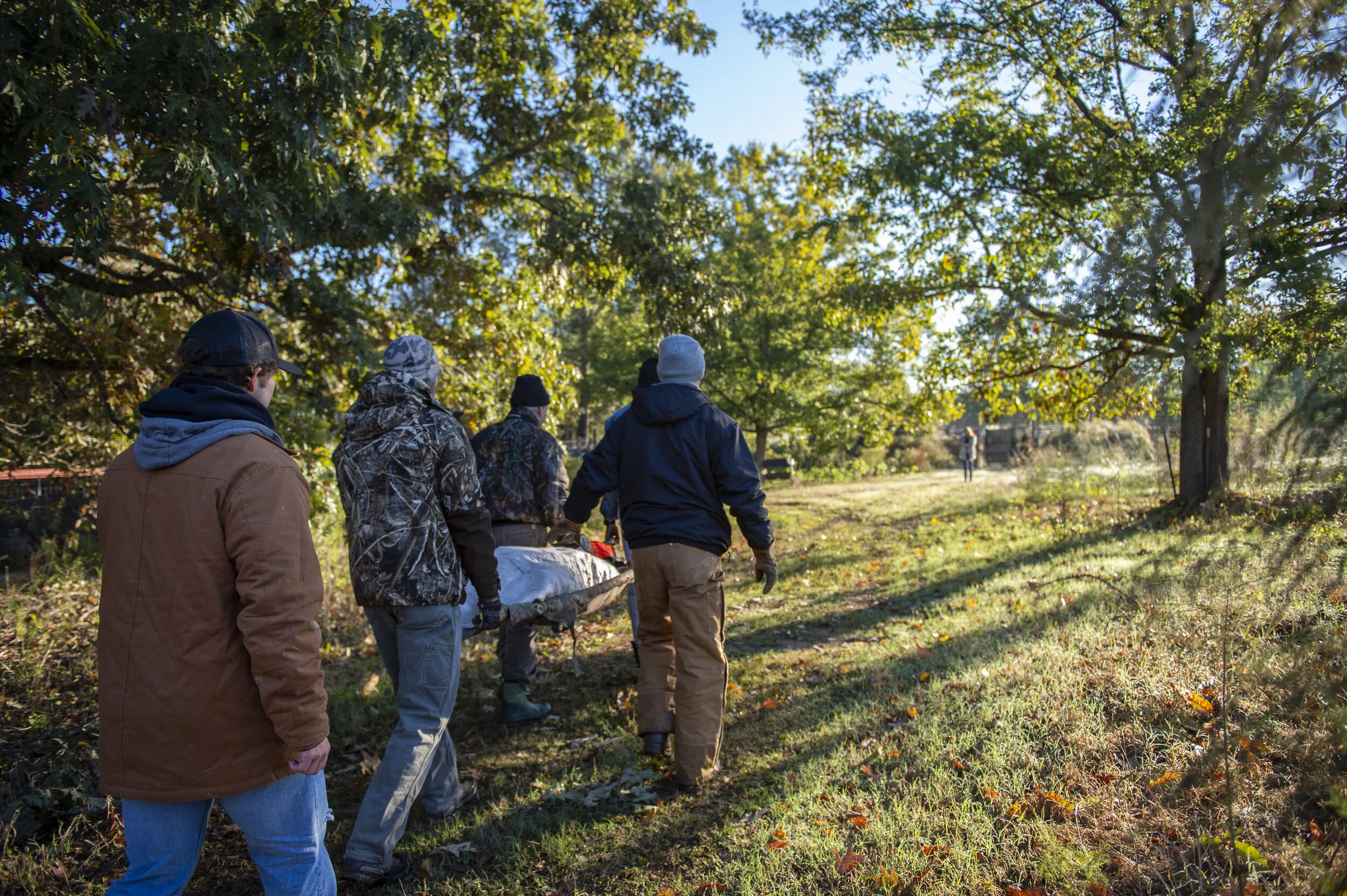 Deer_Work_Up_Alumnus_20191101_4LK4549.jpg