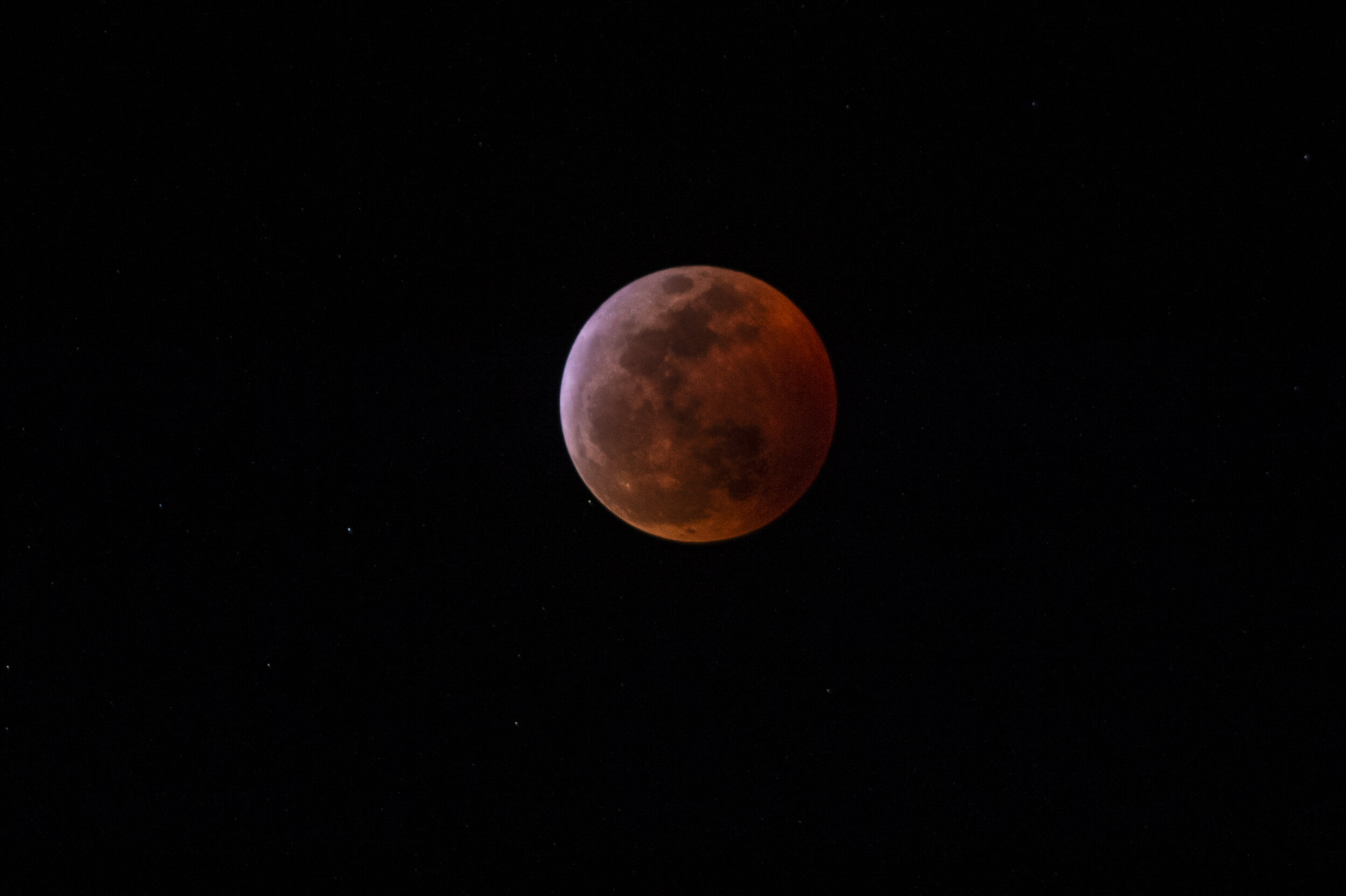 Blood_Moon_01212019_4LK7600.jpg