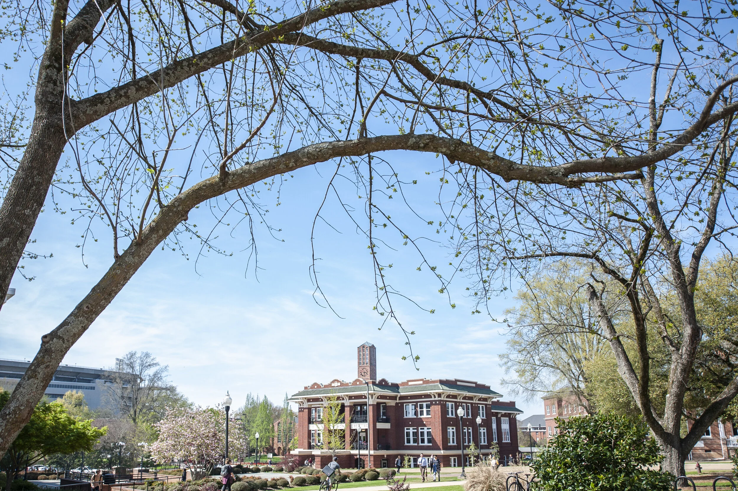 Campus_Spring_Photos_20190327__3LK6137.jpg
