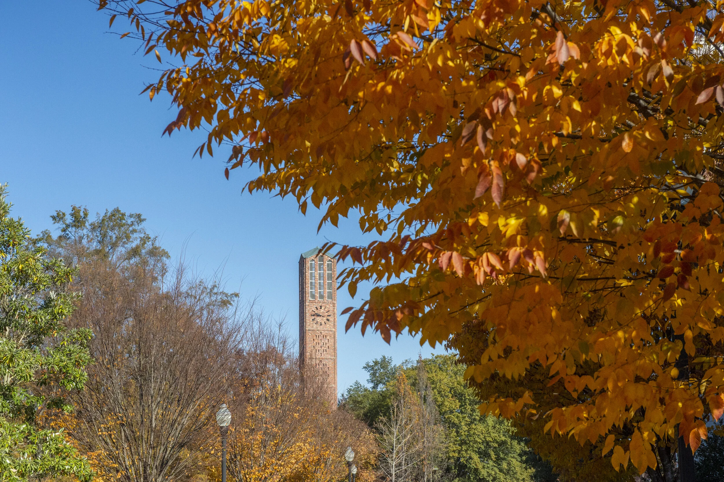 Fall_Leaves_Scenic_20181128_4LK4467.jpg
