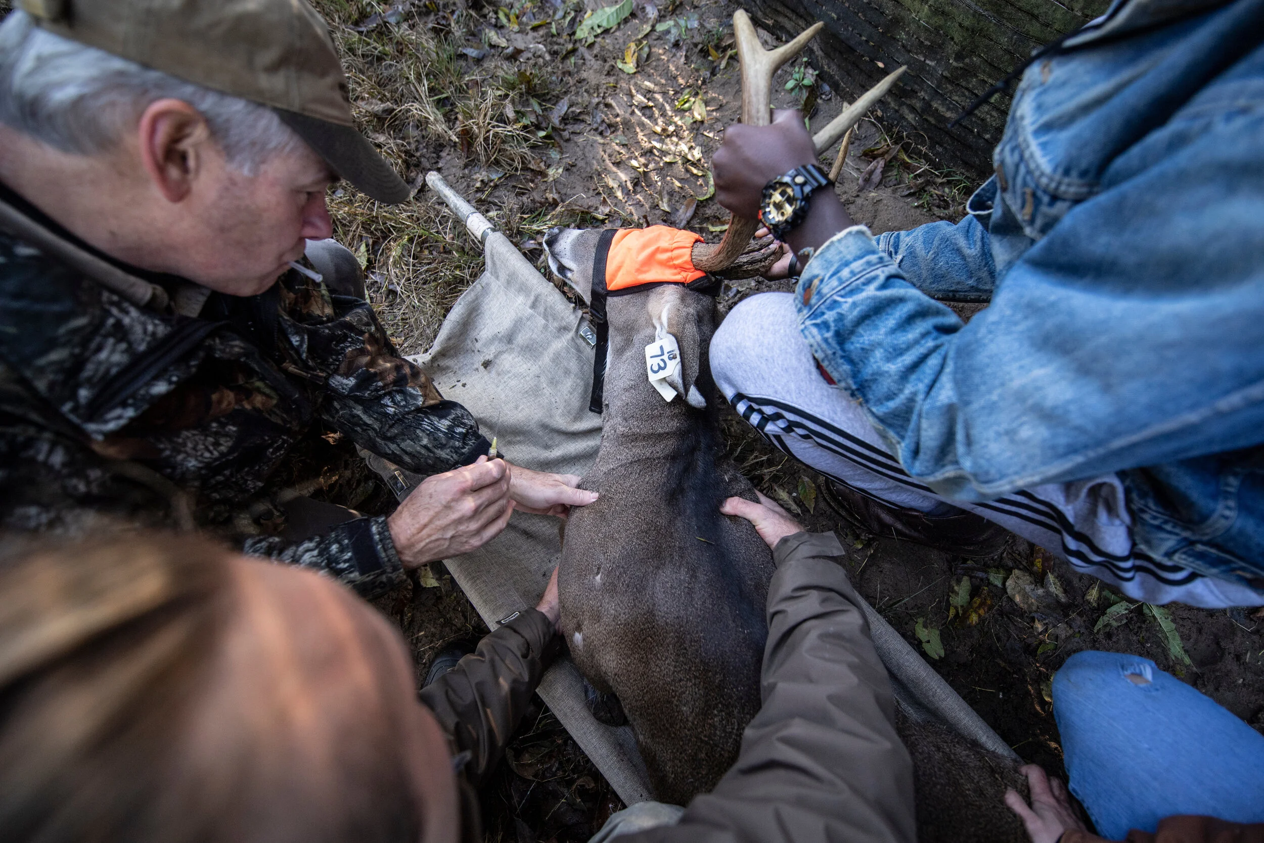 Deer_Work_Up_Alumnus_20191101_L5K6884.jpg