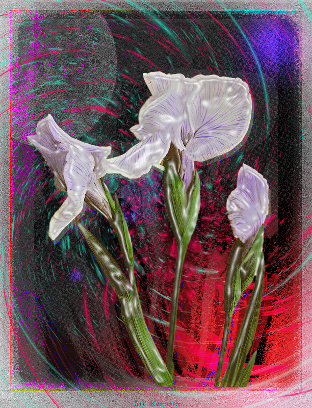 FlowerDesign-4.png