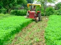 Is Agribusiness a 'stranded asset' class?