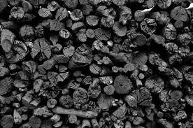 From Green & Black's to Blackened Greens