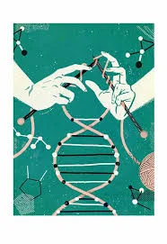 Epigenetics - We control our future, not genes