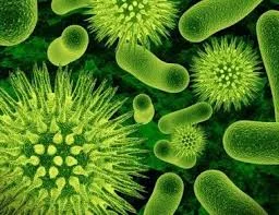 PREVENTION vs CURE - IN FARMING AS IN FOOD for BANT
