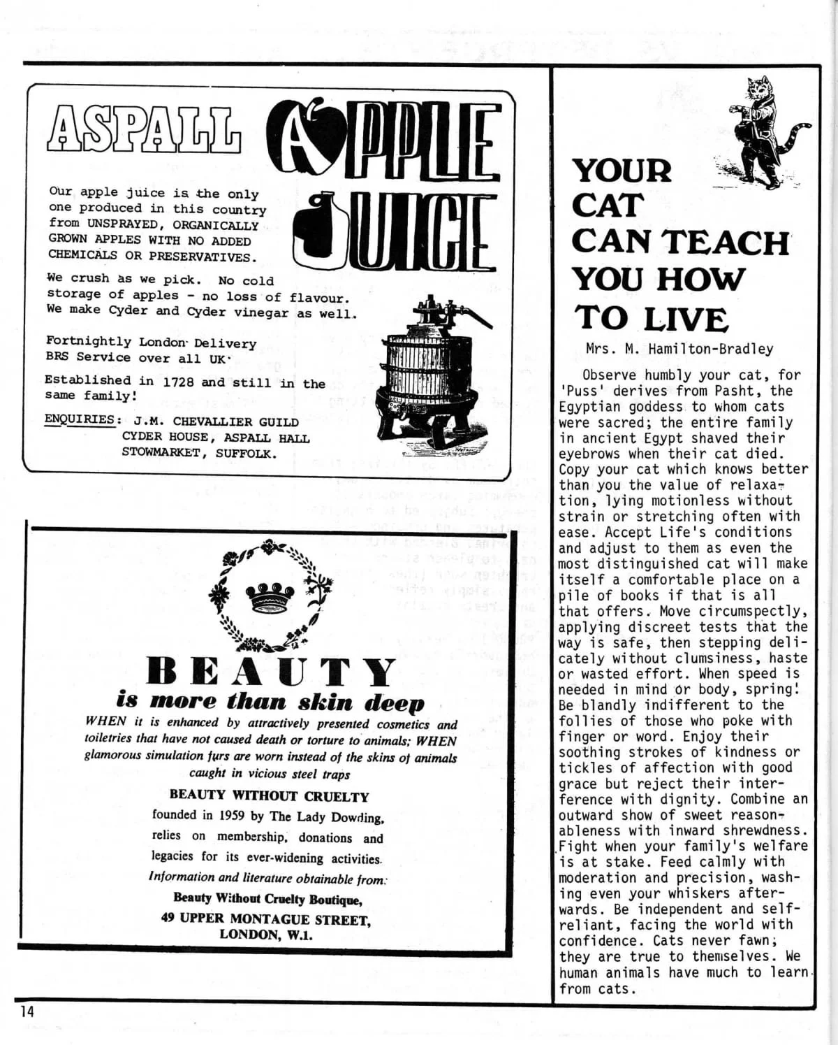 Seed Vol.2 No.1 Jan 1973 p.14