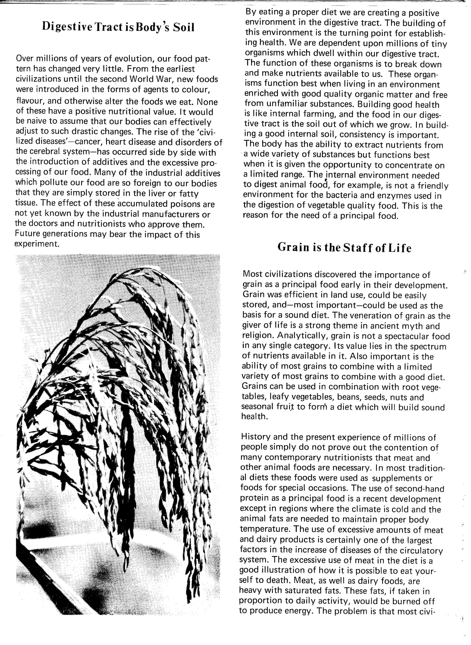 Seed Vol.2 No.3 March 1973 p.17
