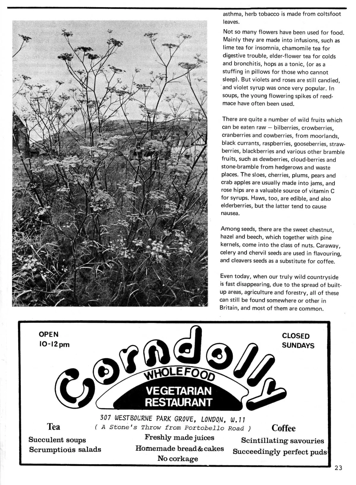 Seed Vol.2 No.4 April 1973 p.23