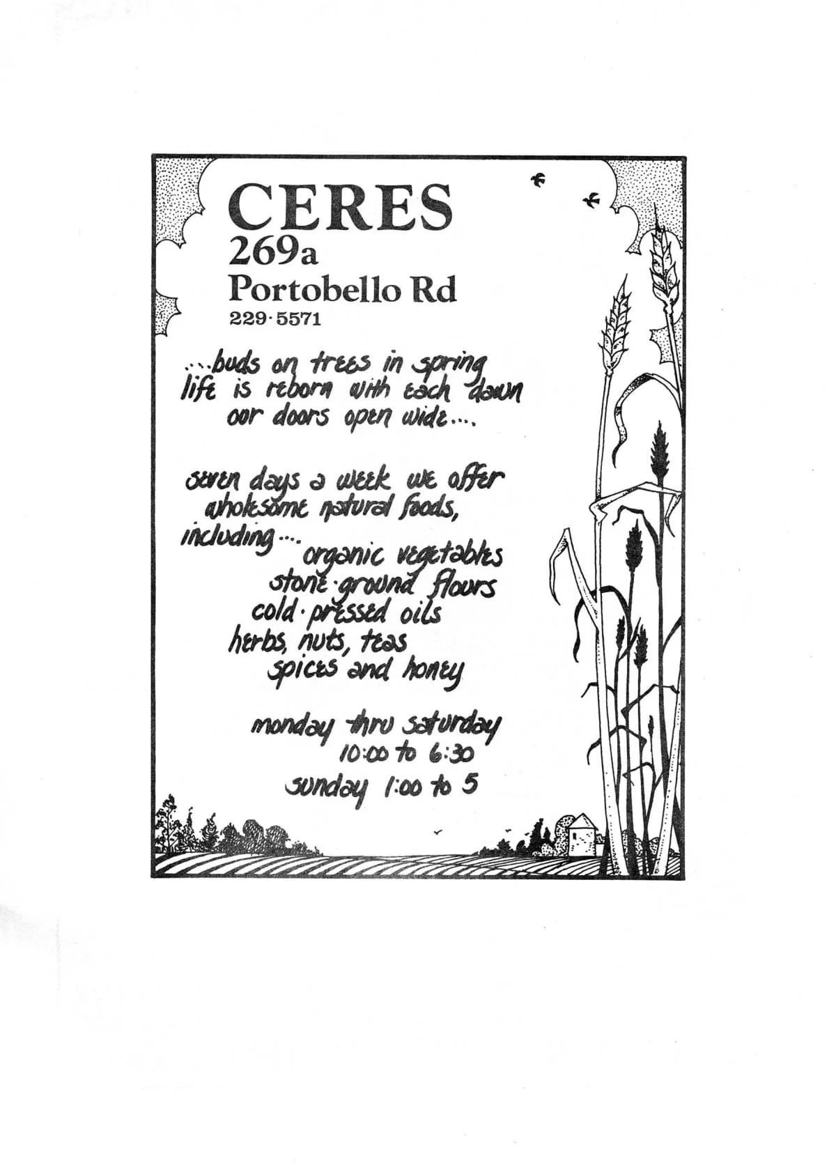 Seed Vol.2 No.5 May 1973 p.31