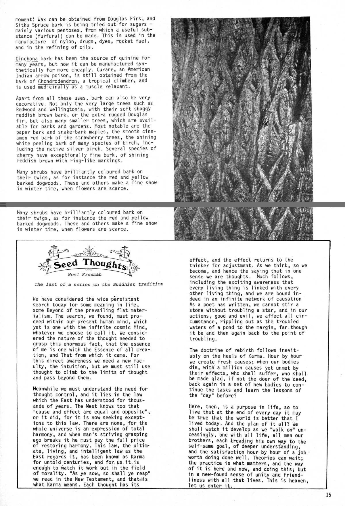 Seed Vol.2 No.7 July 1973 p.15