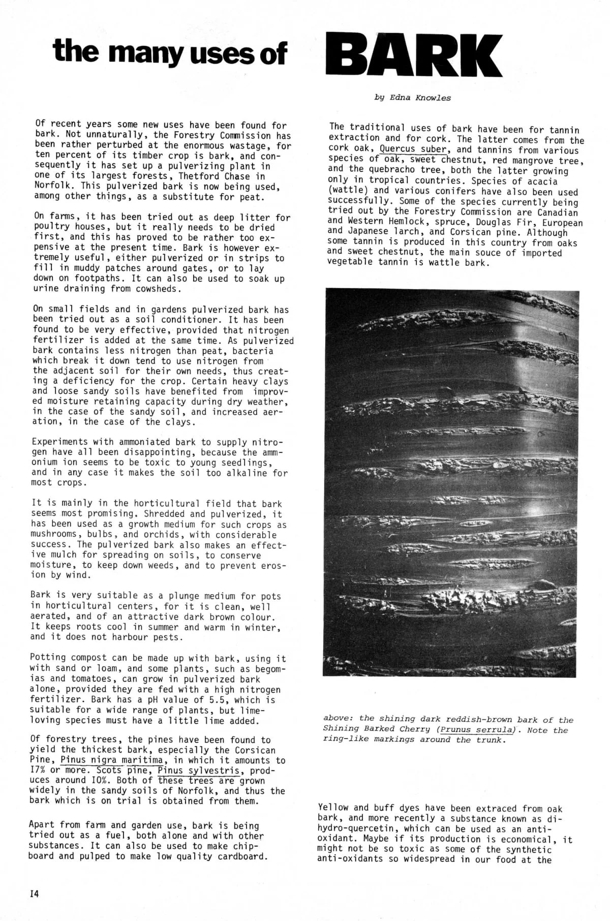 Seed Vol.2 No.7 July 1973 p.14