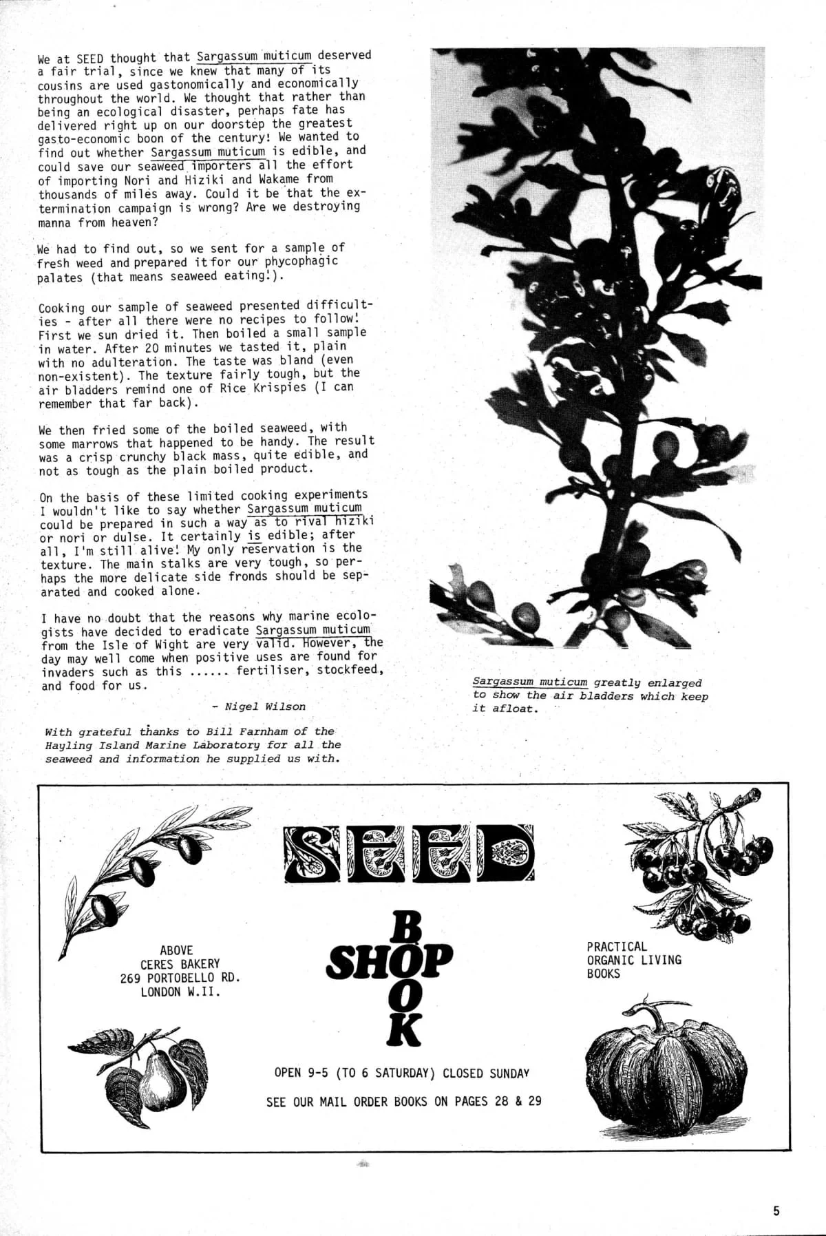 Seed Vol.2 No.7 July 1973 p.5