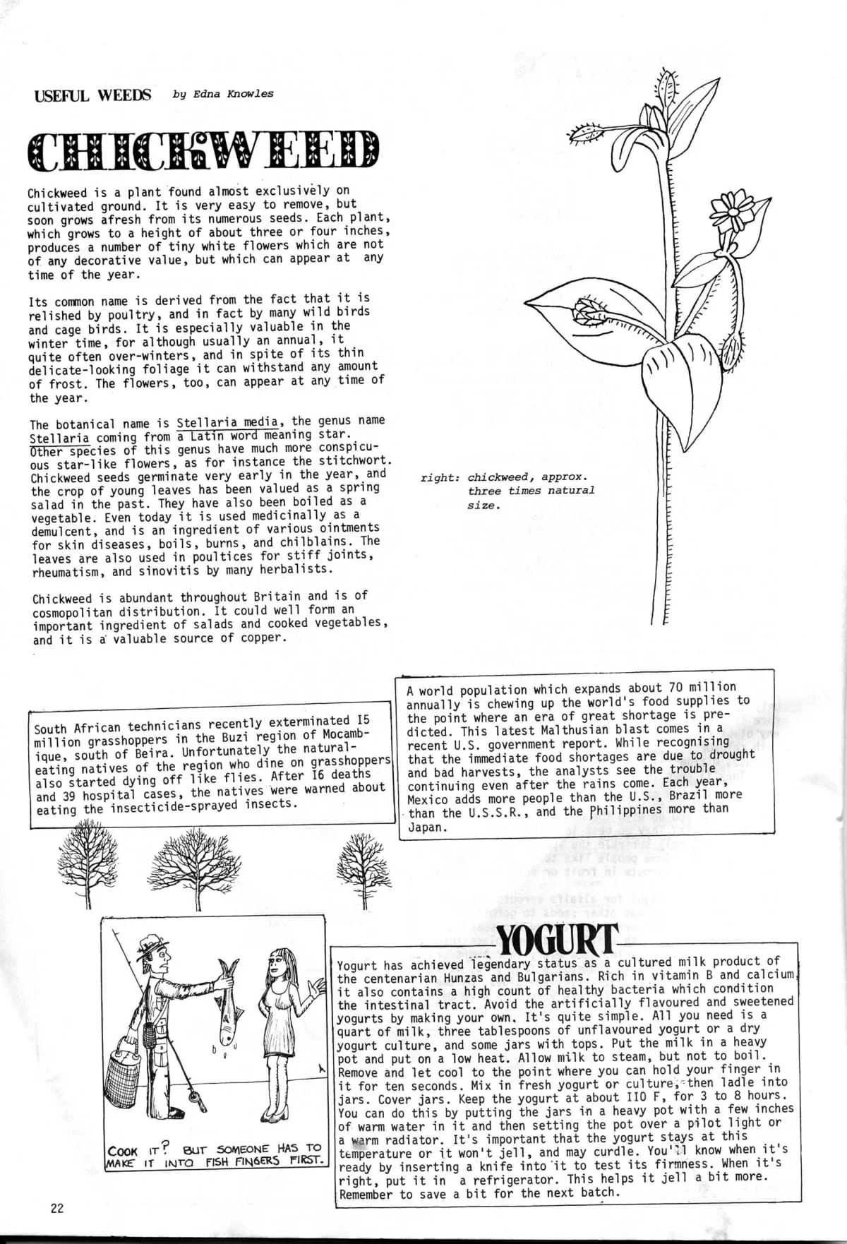 Seed Vol.2 No.8 Aug 1973 p.22