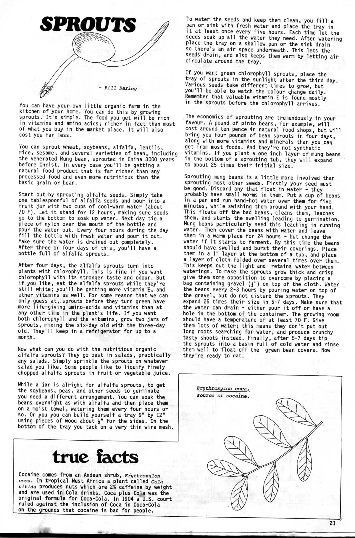 Seed Vol.2 No.8 Aug 1973 p.21