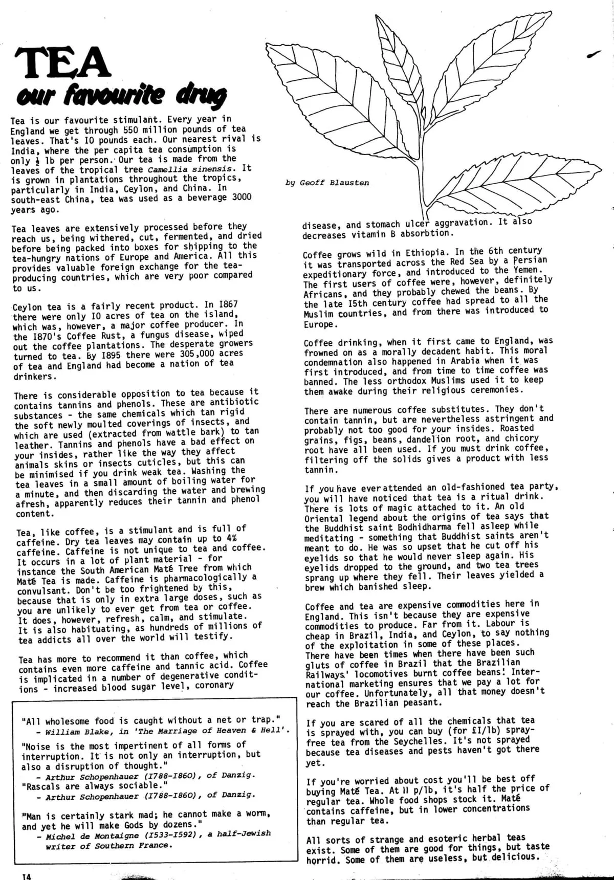 Seed Vol.2 No.9 Sept 1973 p.14