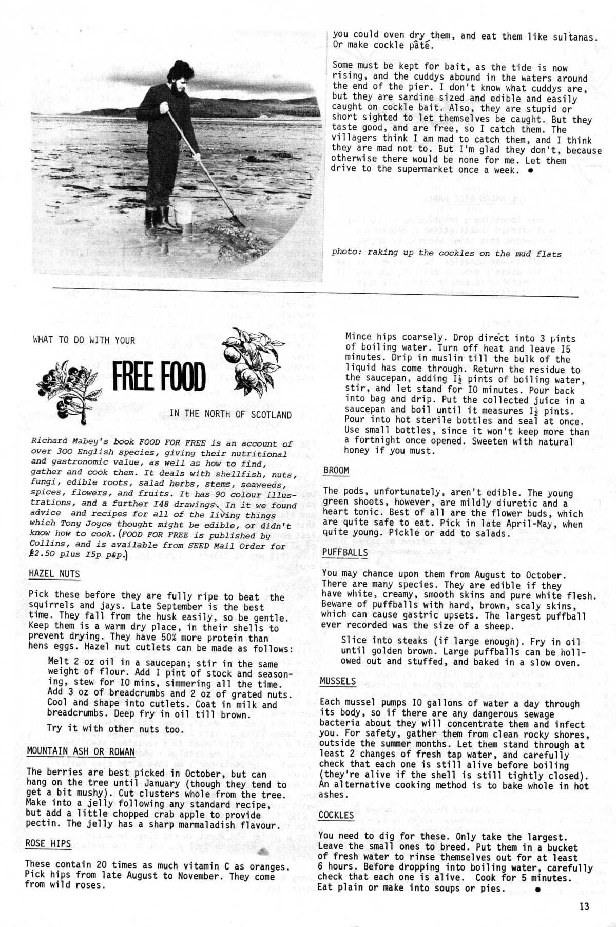 Seed Vol.2 No.10 Oct 1973 p.13