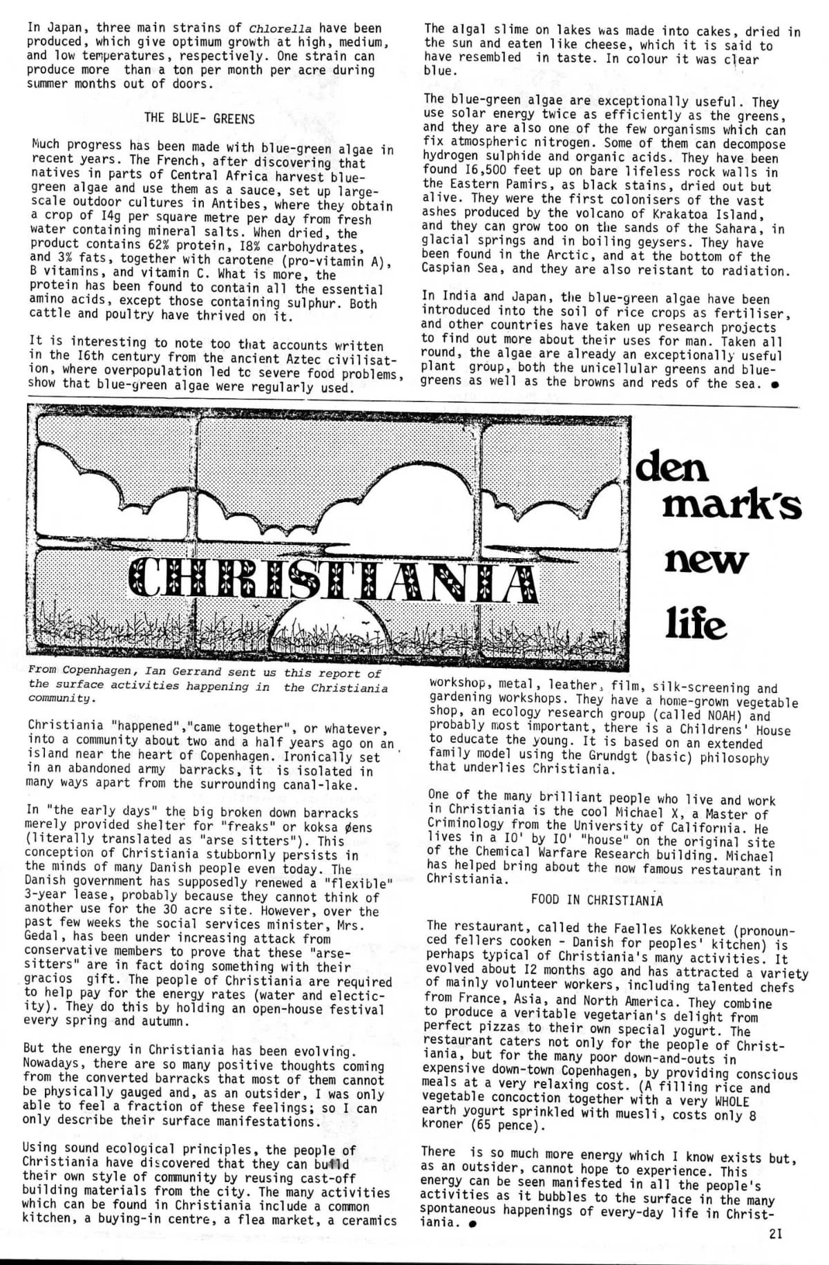 Seed Vol.2 No.11 Nov 1973 p.21
